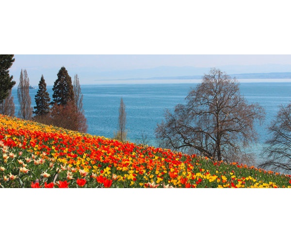 Mainau