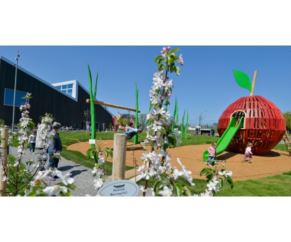 obstgarten-wildbienen-familie-lehrpfad-04