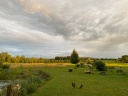 IMG 4626