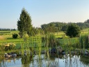 IMG 4696